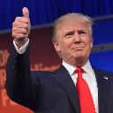 Trump 2020 1.2 preview