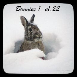 Bunnies 1 v1.22 preview